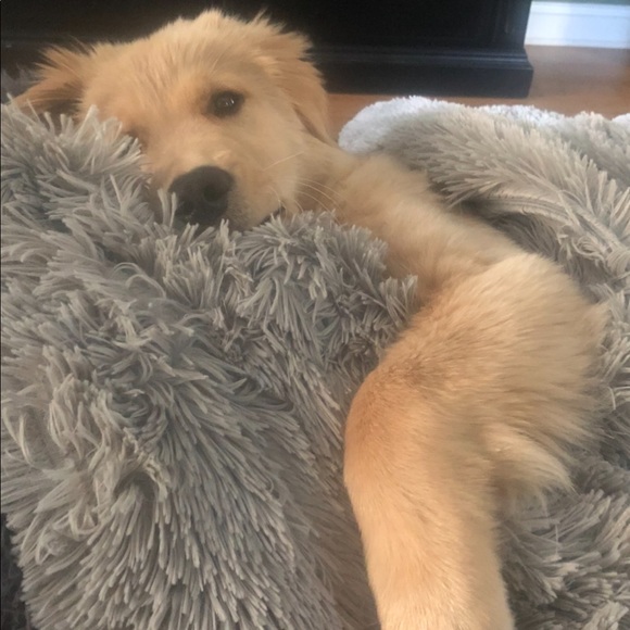 I’m Excited To Be A Poshmark Ambassador Now! - Picture 3 of 4